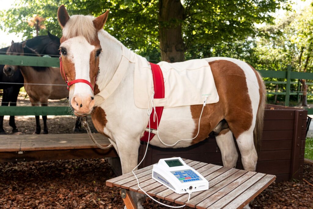 veterinarmedizin 1 1024x683